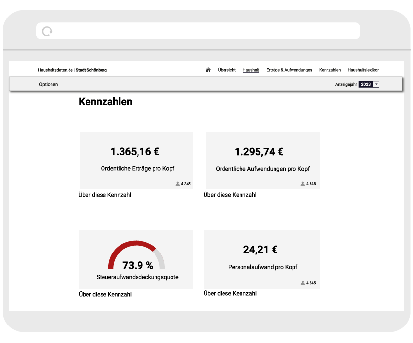 Screenshot Haushaltsplattform Kennzahlen
